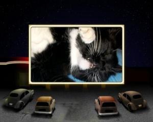 Katzen im Autokino-Bildergalerie-Schlafzimmer