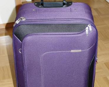 [New In] Collective Haul April