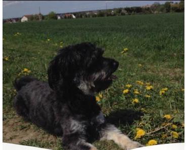 Wetterumschwünge sind unschön