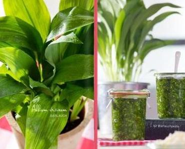 Die neue Ausgabe des sisterMAG ist da!