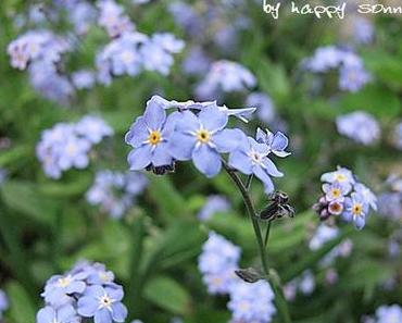 Bloggertreffen in der Ostschweiz