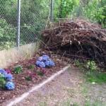 |Blogparade| Blumen-Garten-Parade #4