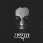 Lazy Sunday: A Forest – “Swan”