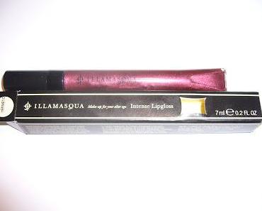 Swatch | Illamasqua Intense Lipgloss | Hermetic