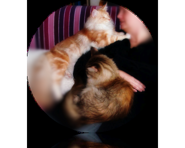 Wurde wieder mal getagt