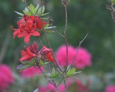 Berlin  eine Reise wert ???