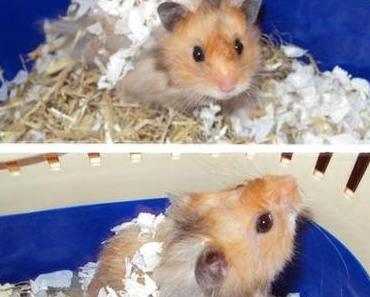 Thabo ist eingezogen! ツ