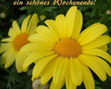 Heute mal kein Rezept....