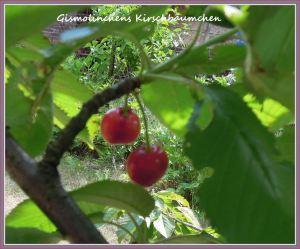 “Sonntags-(Schnapp)-Schuss“ – Blogparade – Nr. 24 ;-)