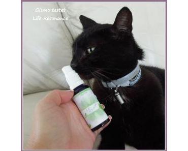 Life Resonance – hat ein Herz für Tiere ;-)