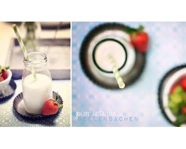 Bloggerinnen Picknick