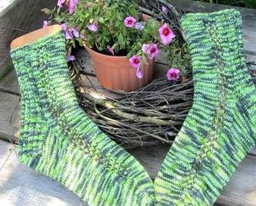 Anacardia und Ásylsuchende