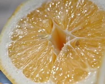 Die letzte ihrer Art