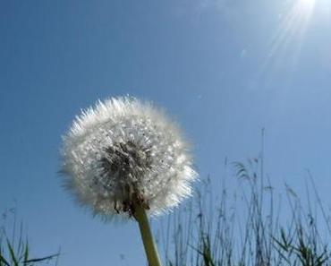 Sommer ✩ Assoziation 2012