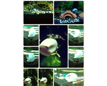 Im Becken wird es langsam gemütlich