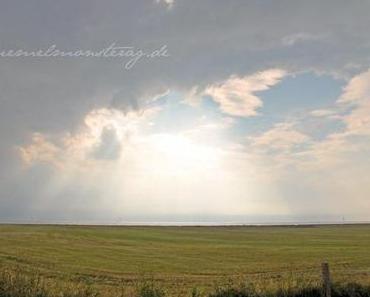 10.07.2012 ✩ Übern Deich