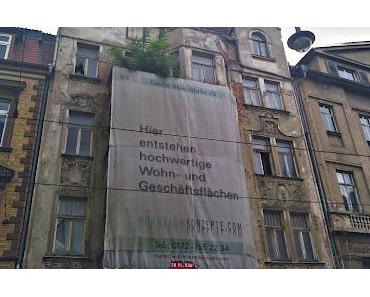 Fremde Federn: Dekadenz für Fans