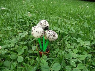 Oreo Peanut Cake Pops