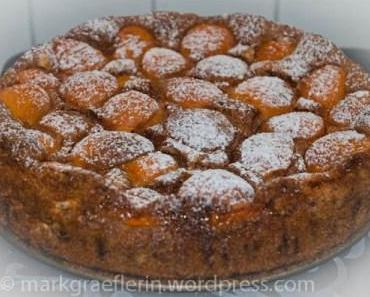 Aprikosen-Schokogrießkuchen