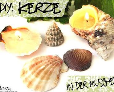 DIY - Kerze in der Muschel