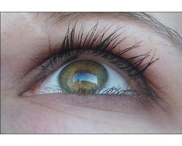 AMU: Der Herbst wird schokobraun ;)