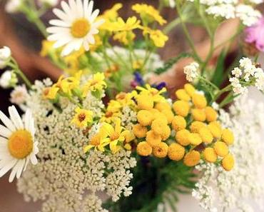 Sonntags am 'Strandgut'