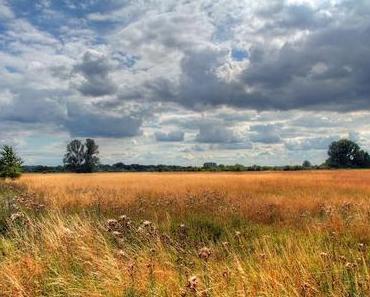 Marschland bei Hamburg