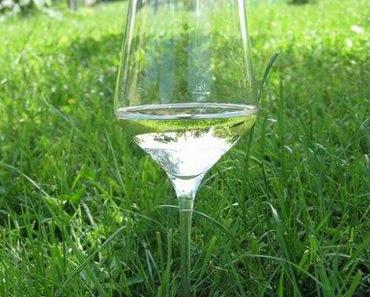Verkostung Weißwein – Weingut Schwarzl – Steyrermen 2012