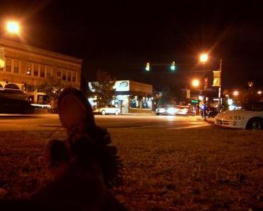 and it feels like i've never been gone