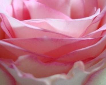wallpaper-1689754