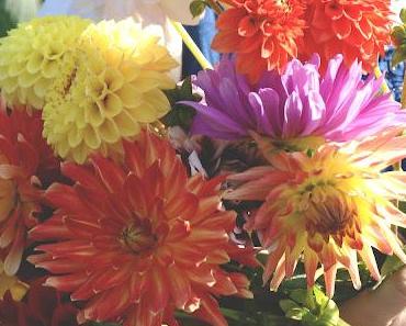 Die letzten Ferientage