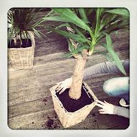 Blick hinter die Kulissen #3