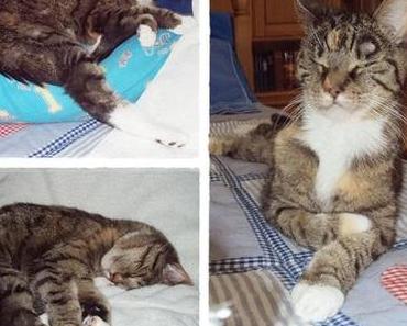 (M)ein Tag in Bildern