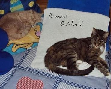 Einfach noch einmal Bilder …