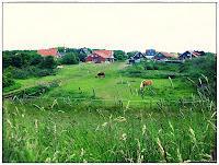 [News] Wow! Meine erfolgreiche KiBuLo-Sommer-Rallye