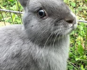 Fall-Summer ends (Sommerfotos)