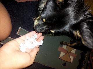 GEWONNEN HAT .... !! :)