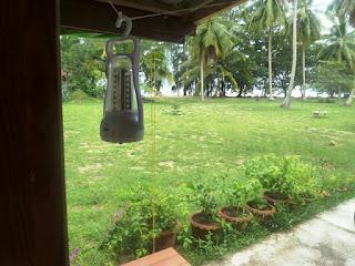 Mein Blick aus dem Küchenfenster / My View from the Kitchen