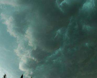 wallpaper-1689754