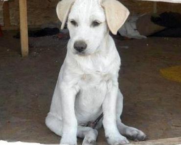 Michele Angelo Kooperation mit Ein bisschen Wärme / R.I.P. ihr kleinen süßen Engel