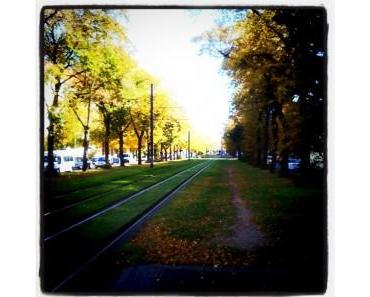 Wie ich den Herbst verbringe!