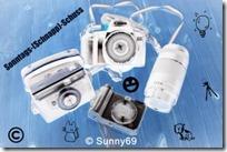 Sonntags-(Schnapp)-Schuss Nr. 43