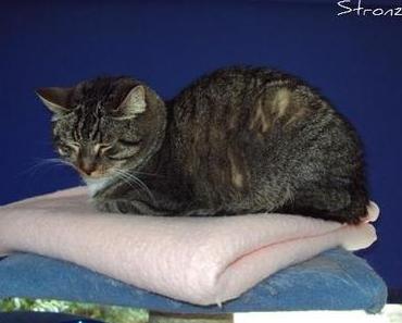 Mit ein bisschen Glück …