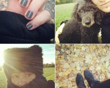 Van der Hellscher Wochenrückblick