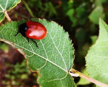 Meine besten unkategorisierten Instagram-Schnappschüsse, Teil 21
