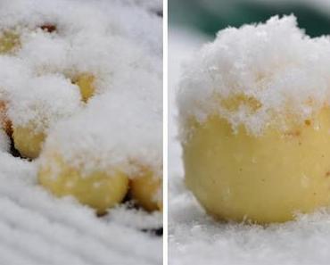 Apfel mit Schneehäubchen