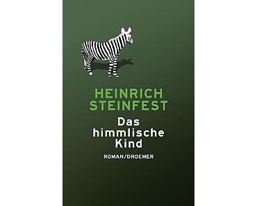 Rezension: Das himmlische Kind von Heinrich Steinfest