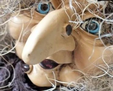 Umzug ins neue Heim....