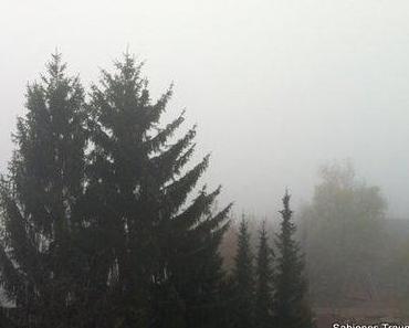 Positiv gedacht im Novembergrau