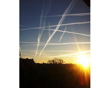 Stress - Pause - Quängel - Stress